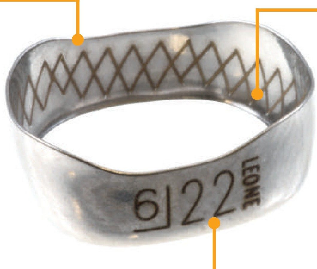 WEB Anatomical Washbon-Etched Bands