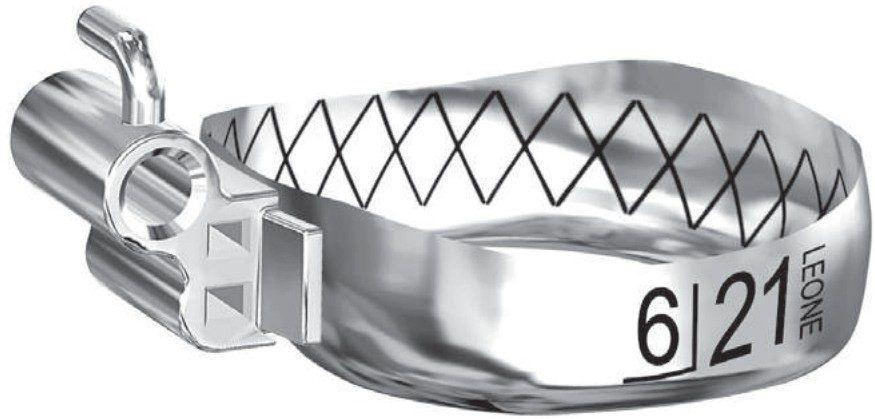 WEB band with the etched interior and its welded tube