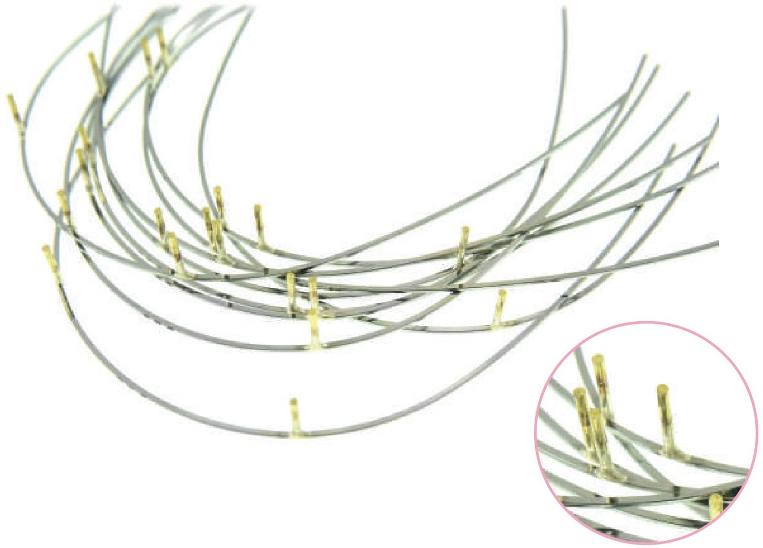 The arch with its crimped hooks between lateral and cuspid